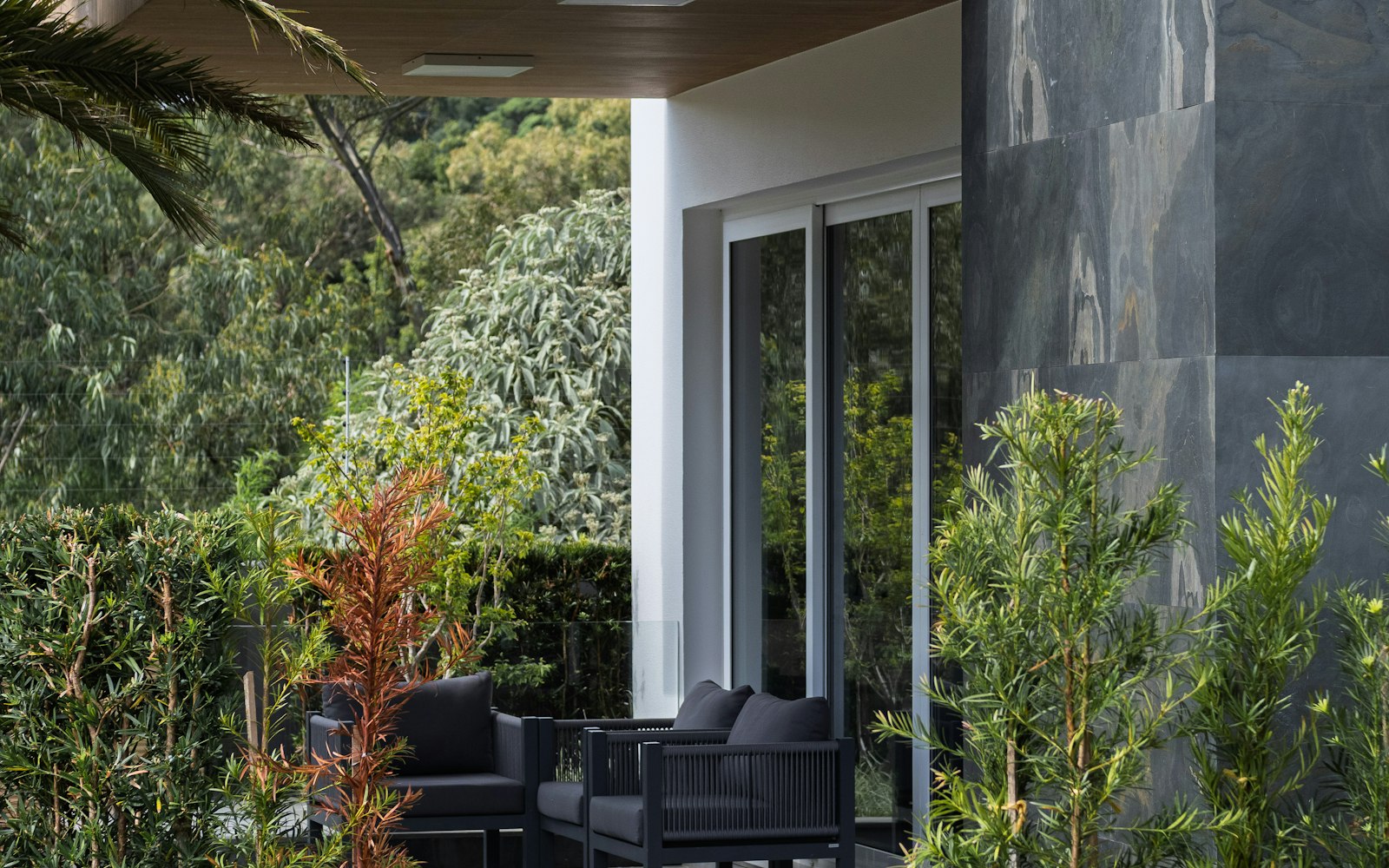 A landscaped terrace with dense planting